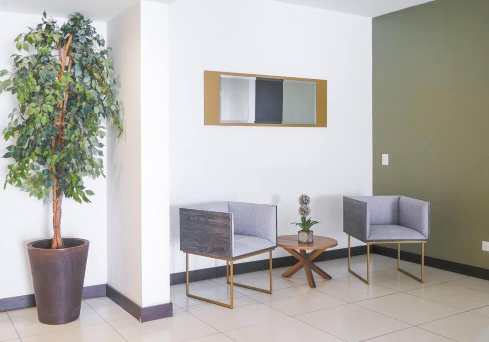 Urban Executive Stay San José Eksteriør billede